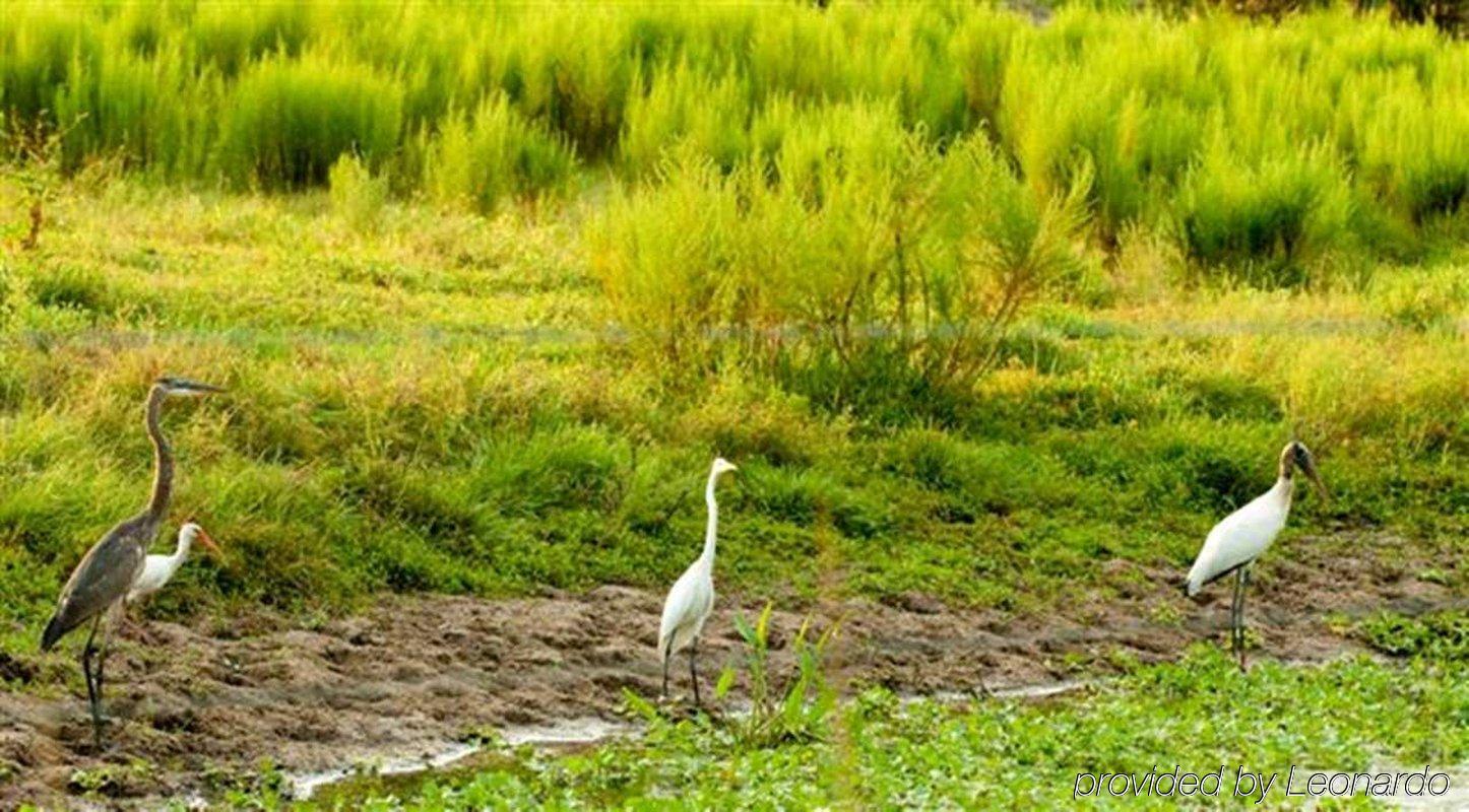 Hampton Inn Okeechobee - Lake Okeechobee Exteriér fotografie